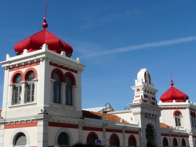 Beelden uit de Algarve_13