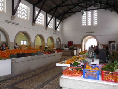 Beelden uit de Algarve_9