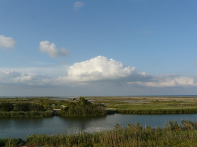 Natuurpark_4