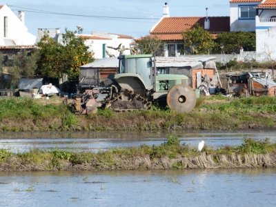 Estuario do Sado_12