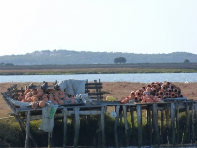 Estuario do Sado_13