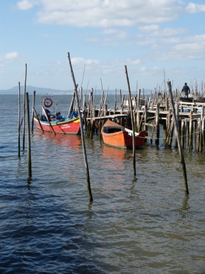 Estuario do Sado_14