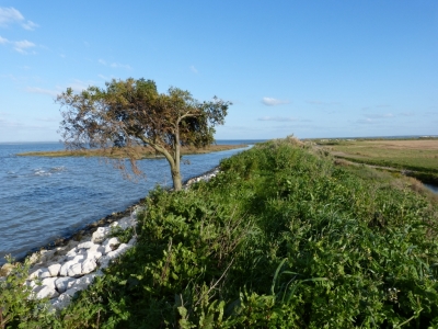 Estuario do Sado_17