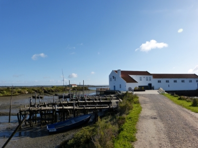 Estuario do Sado_2