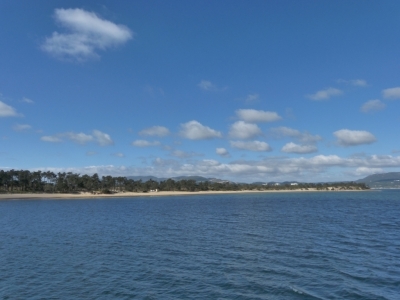 Estuario do Sado_6