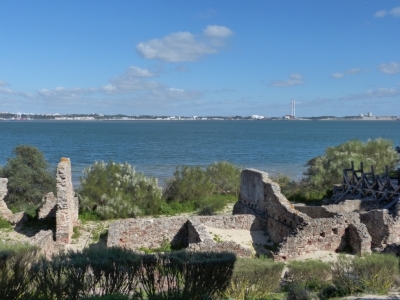 Estuario do Sado_8