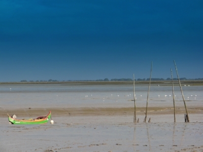 Estuario do Tejo_18