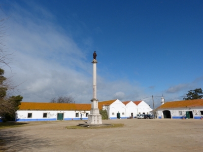 Estuario do Tejo_26