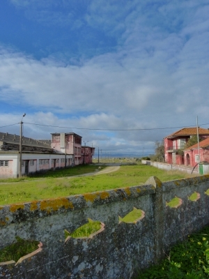 Estuario do Tejo_30