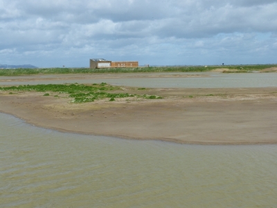 Estuario do Tejo_5