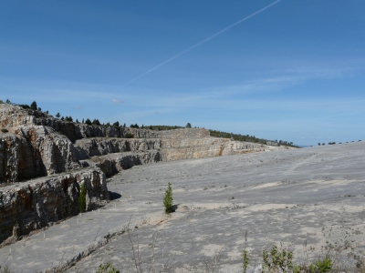 Fátima dinos_2