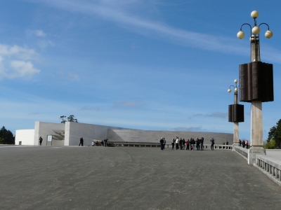 Fátima dinos_4