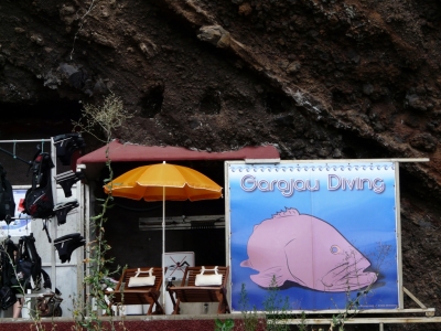 Golfinhos & snorkling_14