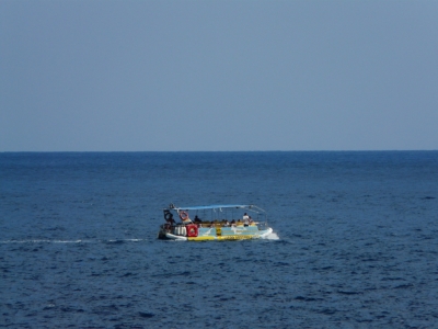 Golfinhos & snorkling_16