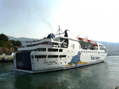 Golfinhos & snorkling_5