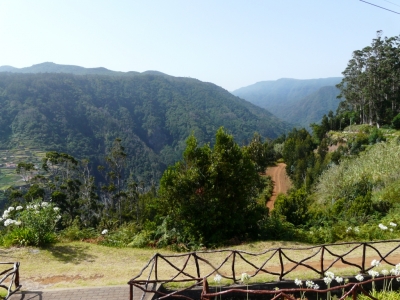 Levadas_2