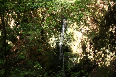 Levadas_6