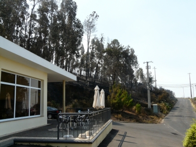Madera, uma ïlha_7