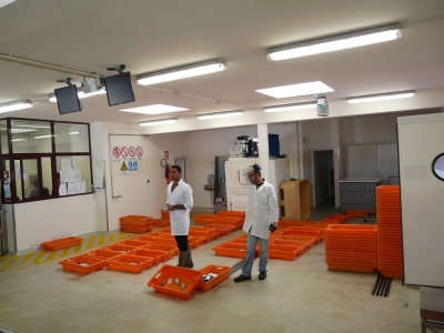 Gastronomia_2