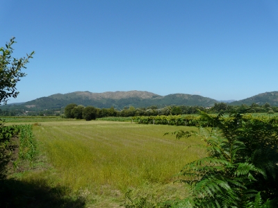 Ponte de Lima_3