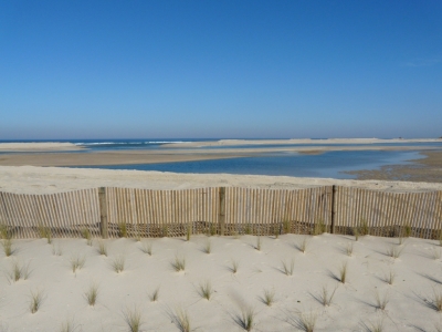 Lagoa de Óbidos_5