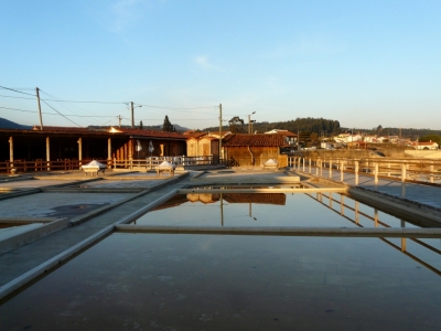 Rio Maior_4