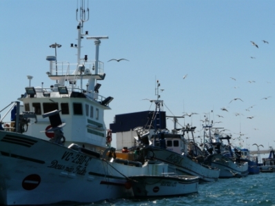 Glinsterend Aveiro_11