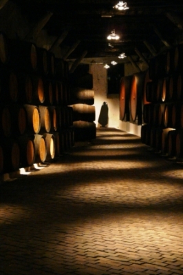 Porto, charme en verval_10