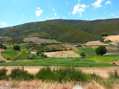 Vale de Covo_1