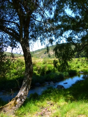 Vale de Covo_3
