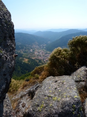 Wandeling_11