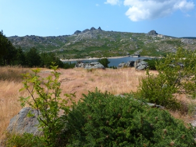 Wandeling_1