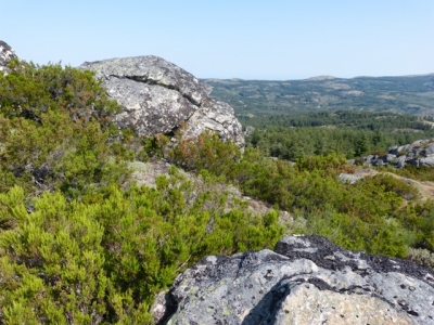 Wandeling_5