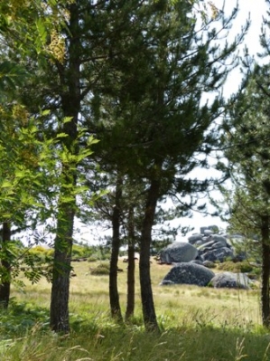 Wandeling_7