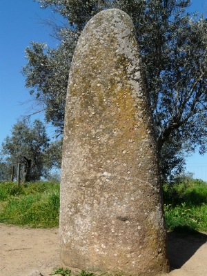 Megalieten_4