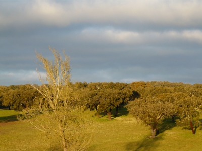 Natureza_2