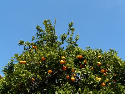 Natureza_4