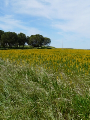 Natureza_6